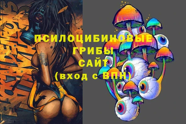 spice Осташков