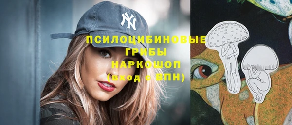 синтетический гашиш Бородино